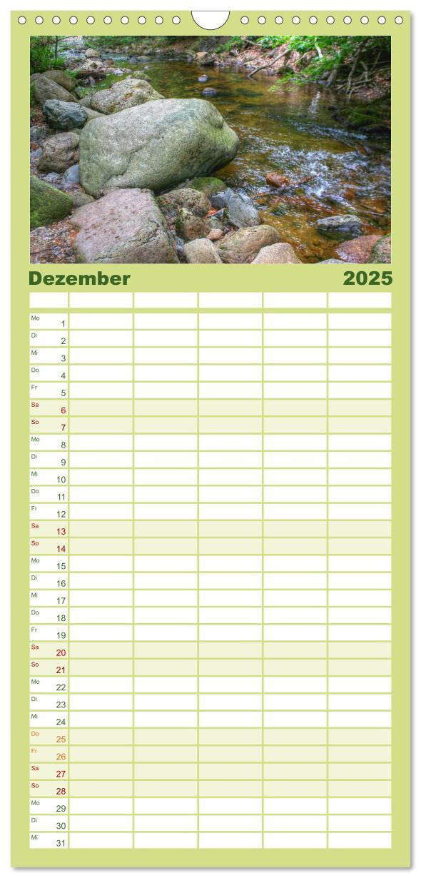 Familienplaner 2025 - Verzauberter Harz mit 5 Spalten (Wandkalender, 21 x 45 cm) CALVENDO