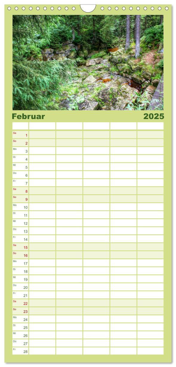 Familienplaner 2025 - Verzauberter Harz mit 5 Spalten (Wandkalender, 21 x 45 cm) CALVENDO