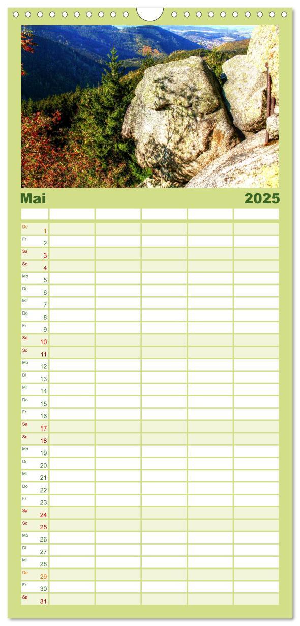 Familienplaner 2025 - Verzauberter Harz mit 5 Spalten (Wandkalender, 21 x 45 cm) CALVENDO