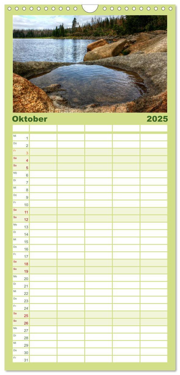 Familienplaner 2025 - Verzauberter Harz mit 5 Spalten (Wandkalender, 21 x 45 cm) CALVENDO