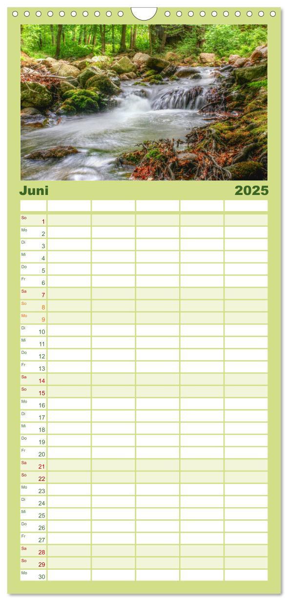 Familienplaner 2025 - Verzauberter Harz mit 5 Spalten (Wandkalender, 21 x 45 cm) CALVENDO