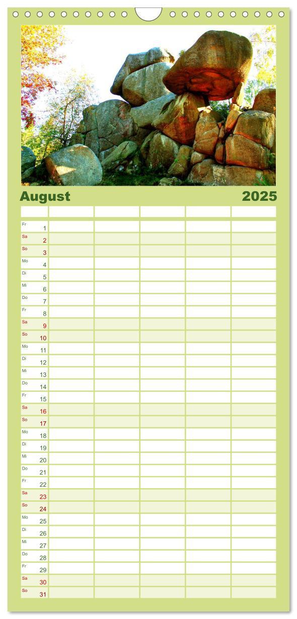 Familienplaner 2025 - Verzauberter Harz mit 5 Spalten (Wandkalender, 21 x 45 cm) CALVENDO