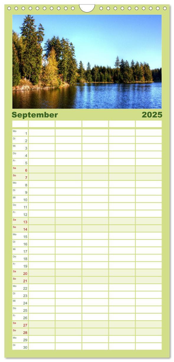 Familienplaner 2025 - Verzauberter Harz mit 5 Spalten (Wandkalender, 21 x 45 cm) CALVENDO