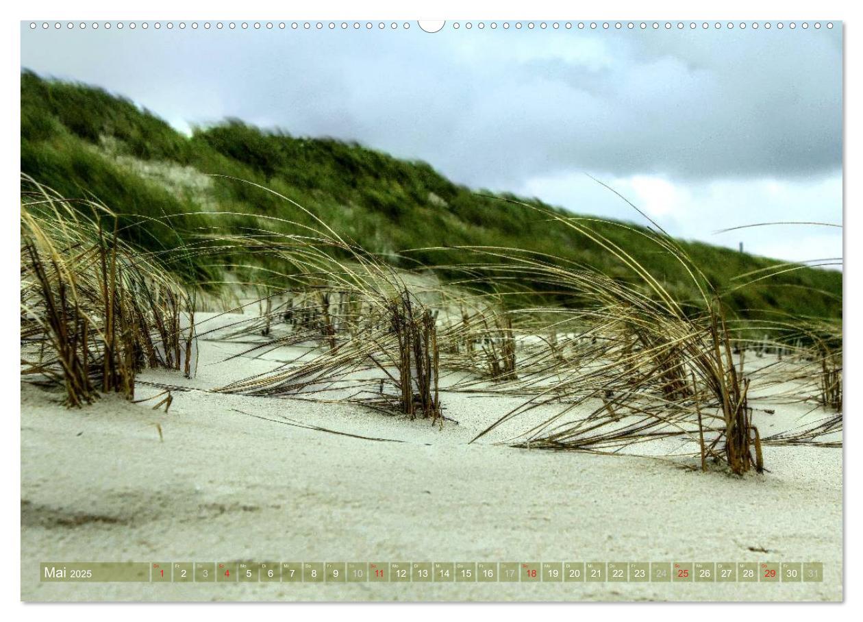 Sylt - Der Ellenbogen (Wandkalender 2025 DIN A2 quer), CALVENDO Monatskalender