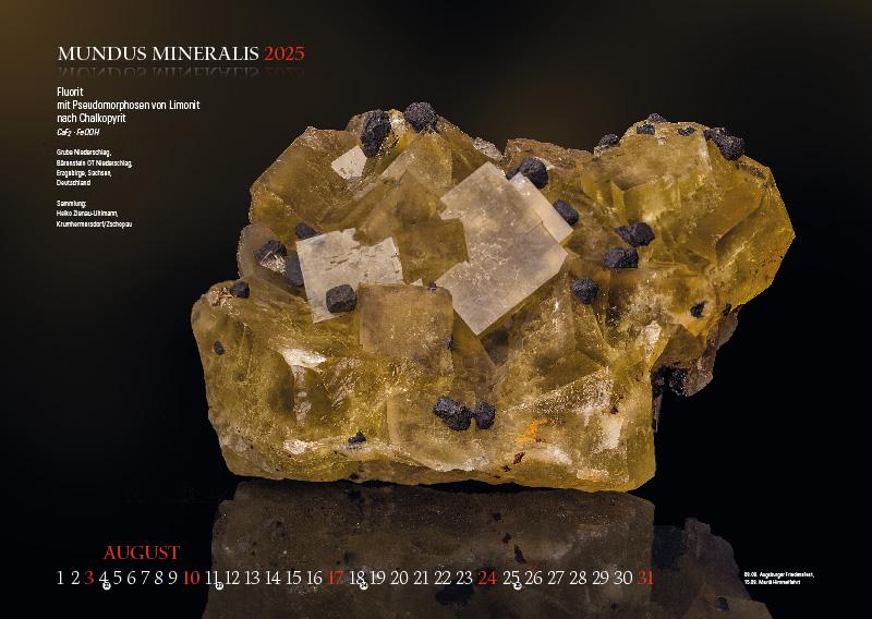 MUNDUS MINERALIS 2025