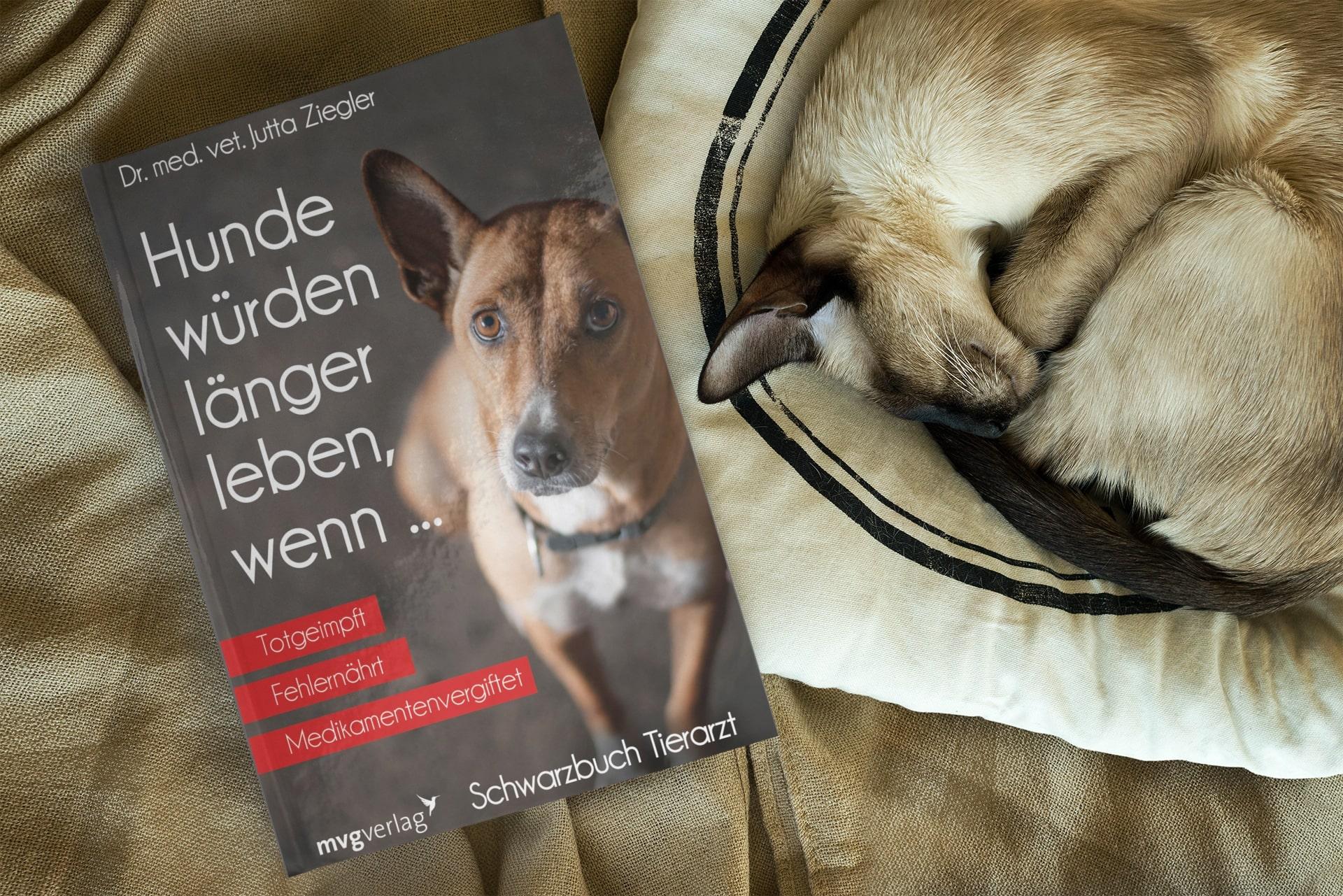 Hunde würden länger leben, wenn ...