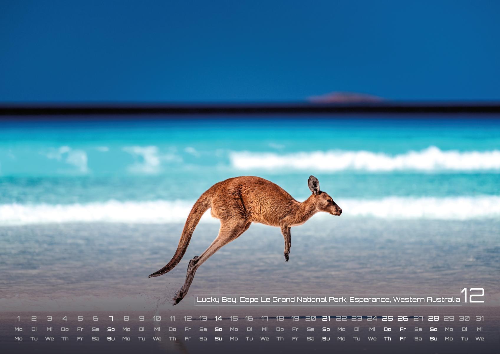 Australien - das Land der Kängurus - 2025 - Kalender DIN A2