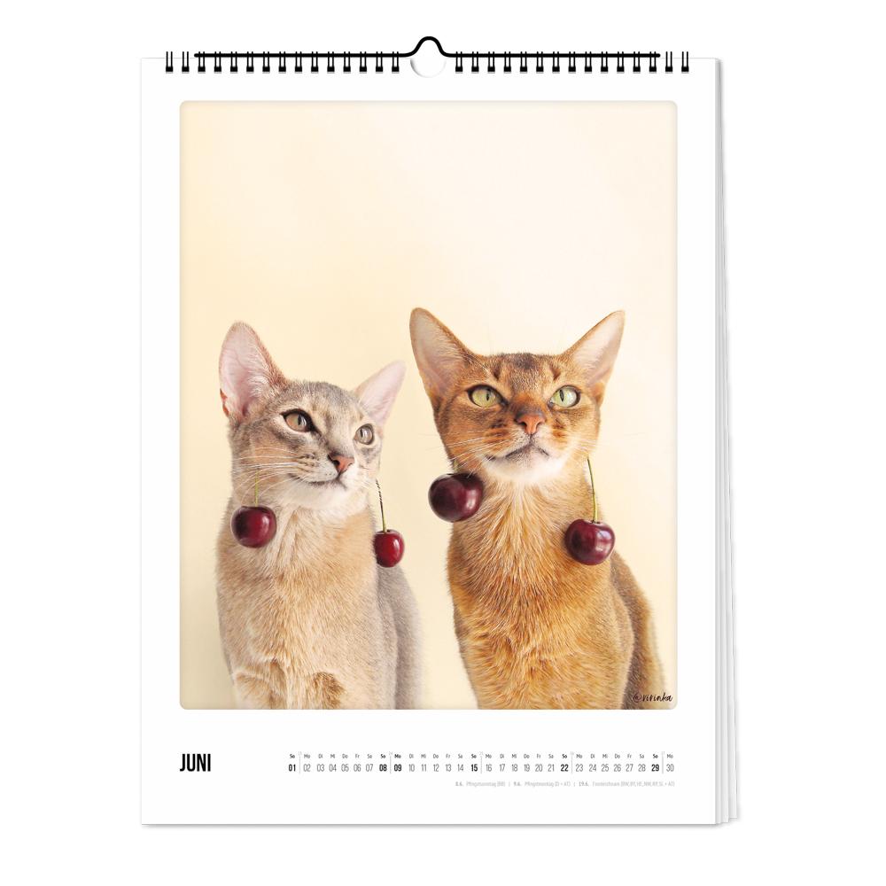 Wandkalender 2025 - Katz & Kater