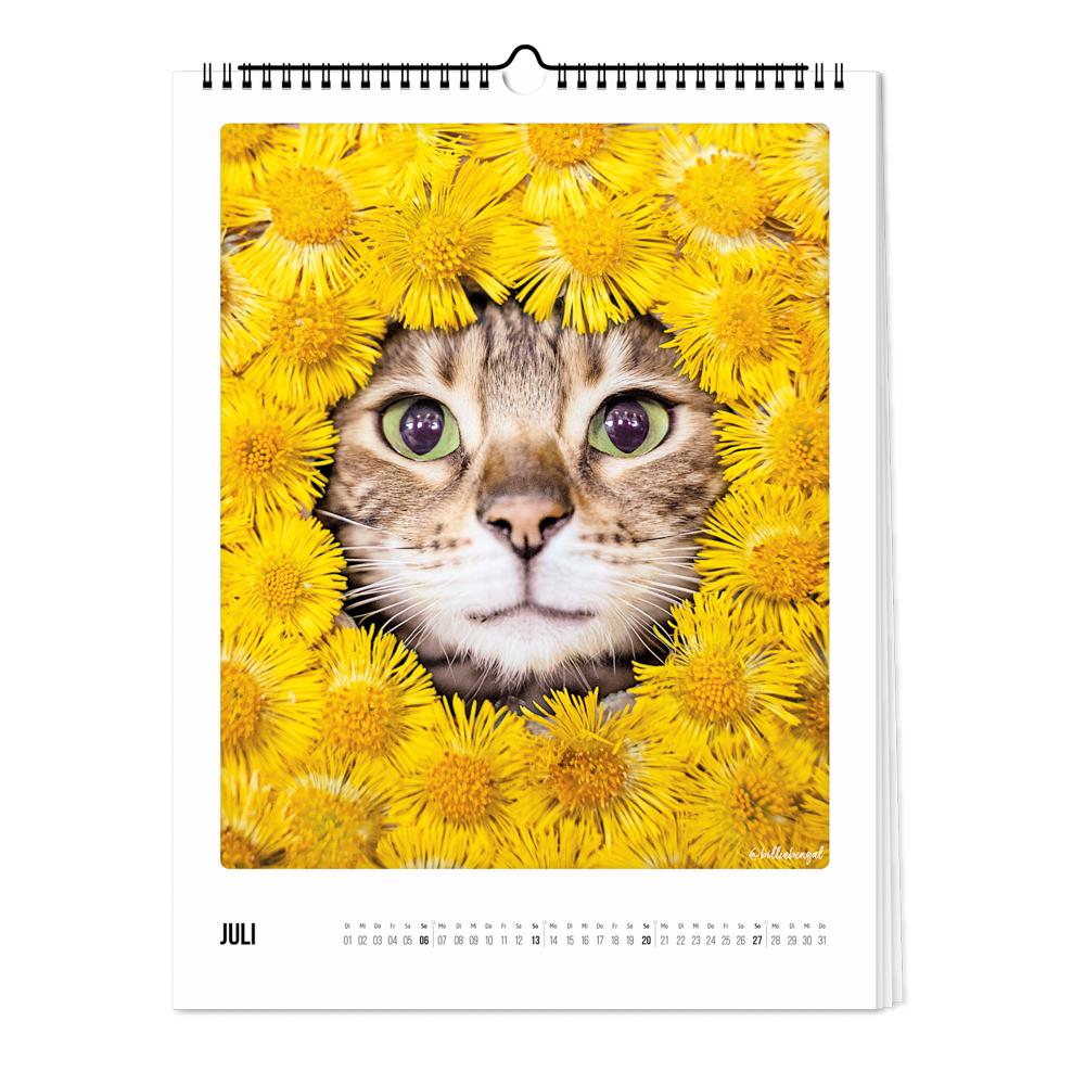 Wandkalender 2025 - Katz & Kater