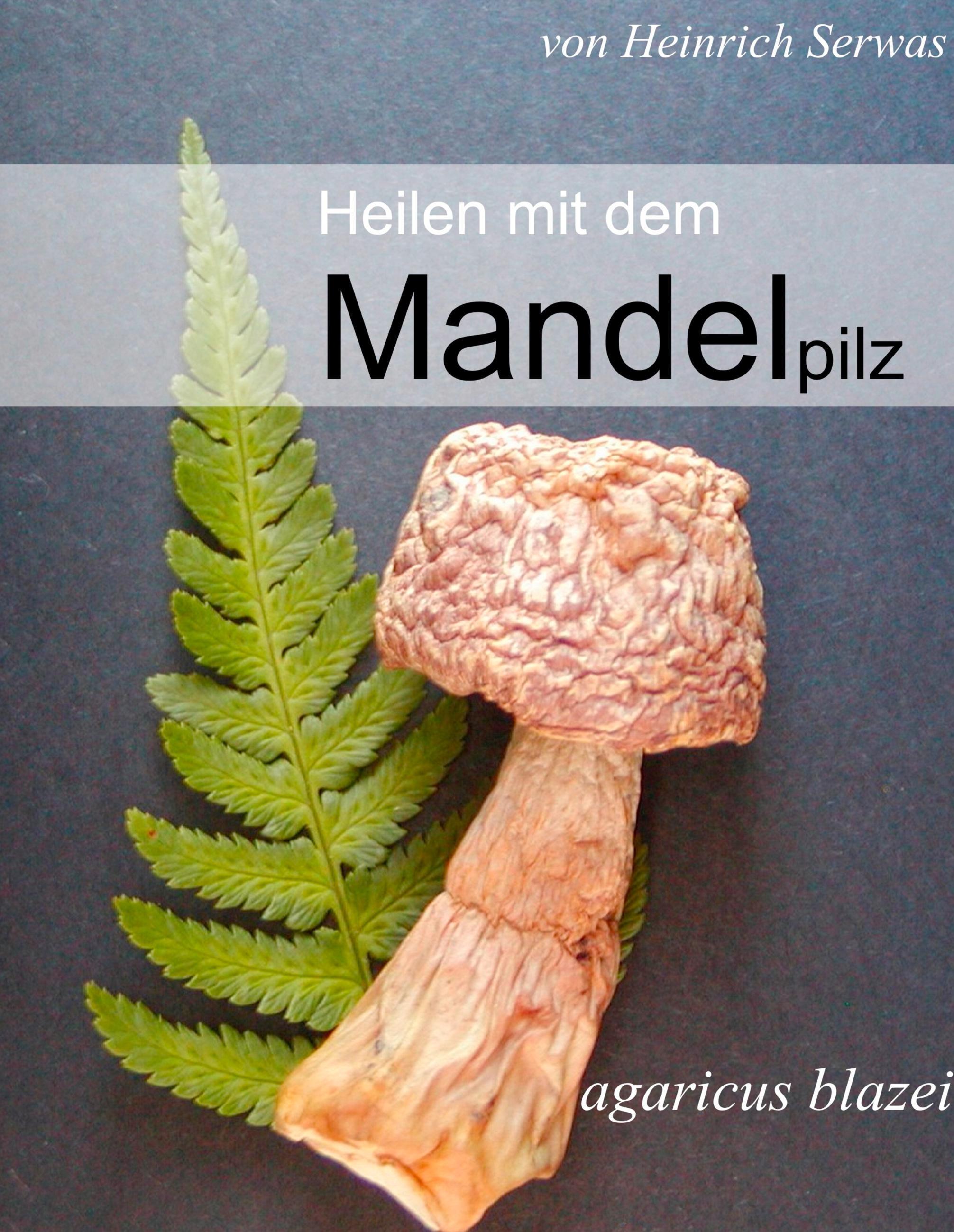 Heilen mit dem Mandelpilz