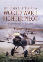 Diary and Letters of a World War I Fighter Pilot