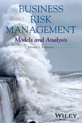 Business Risk Management