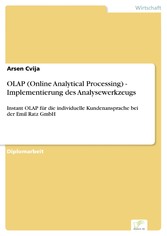 OLAP (Online Analytical Processing) - Implementierung des Analysewerkzeugs