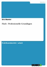 Flash - Professionelle Grundlagen