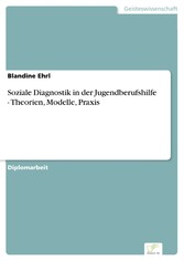 Soziale Diagnostik in der Jugendberufshilfe - Theorien, Modelle, Praxis