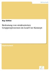 Bedeutung von strukturierten Gruppenprozessen im Lead-User Konzept