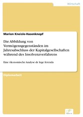 Die Abbildung von Vermögensgegenständen im Jahresabschluss der Kapitalgesellschaften während des Insolvenzverfahrens