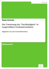 Die Umsetzung der 'Nachhaltigkeit' in ausgewählten Großunternehmen