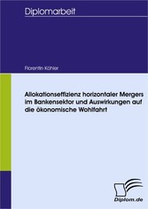 Allokationseffizienz horizontaler Mergers im Bankensektor und Auswirkungen auf die ökonomische Wohlfahrt