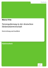 Netzregulierung in der deutschen Elektrizitätswirtschaft