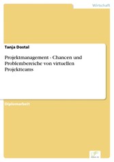 Projektmanagement - Chancen und Problembereiche von virtuellen Projektteams