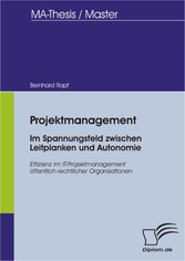 Projektmanagement - Im Spannungsfeld zwischen Leitplanken und Autonomie