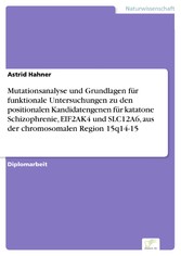 Mutationsanalyse und Grundlagen für funktionale Untersuchungen zu den positionalen Kandidatengenen für katatone Schizophrenie, EIF2AK4 und SLC12A6, aus der chromosomalen Region 15q14-15