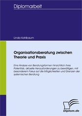 Organisationsberatung zwischen Theorie und Praxis