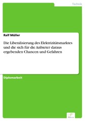 Die Liberalisierung des Elektrizitätsmarktes und die sich für die Anbieter daraus ergebenden Chancen und Gefahren