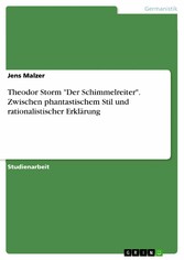 Theodor Storm 'Der Schimmelreiter'. Zwischen phantastischem Stil und rationalistischer Erklärung