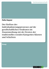 Der Einfluss des Individualisierungsprozesses auf die gesellschaftlichen Strukturen im Zusammenhang mit der Erosion der traditionellen sozialen Kategorien: Klassen und Schichten