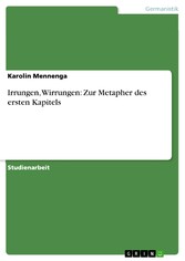 Irrungen, Wirrungen: Zur Metapher des ersten Kapitels