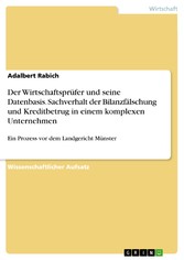 Der Wirtschaftsprüfer und seine Datenbasis. Sachverhalt der Bilanzfälschung und Kreditbetrug in einem komplexen Unternehmen