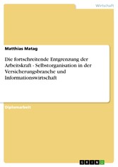 Die fortschreitende Entgrenzung der Arbeitskraft - Selbstorganisation in der Versicherungsbranche und Informationswirtschaft