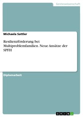 Resilienzförderung bei Multiproblemfamilien. Neue Ansätze der SPFH