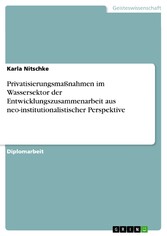 Privatisierungsmaßnahmen im Wassersektor der Entwicklungszusammenarbeit aus neo-institutionalistischer Perspektive