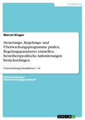 Steuerungs-, Regelungs- und Überwachungsprogramme prüfen, Regelungsparameter einstellen, betreiberspezifische Anforderungen berücksichtigen