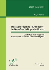 Herausforderung 'Ehrenamt' in Non-Profit-Organisationen: Die NPOs im Gefüge von Gewinnwirtschaft und Gemeinnützigkeit