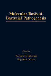 Molecular Basis of Bacterial Pathogenesis