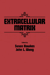 Extracellular Matrix