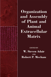 Organization and Assembly of Plant and Animal Extracellular Matrix