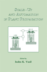 Scale-Up and Automation in Plant Propagation