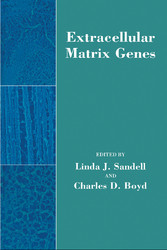 Extracellular Matrix Genes