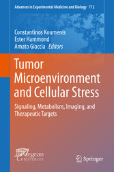 Tumor Microenvironment and Cellular Stress