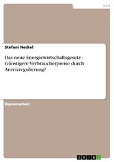 Das neue Energiewirtschaftsgesetz - Günstigere Verbraucherpreise durch Anreizregulierung?