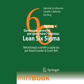 Governare i processi per governare l'impresa: Lean Six Sigma