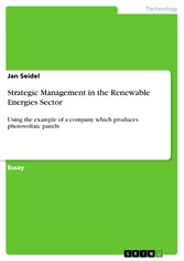 Strategic Management in the Renewable Energies Sector