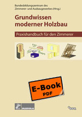 Grundwissen Moderner Holzbau