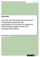 Die Rolle der Wahrnehmung in kritischer Auseinandersetzung mit den grundlegenden Prozessen der kognitiven Entwicklung in Piagets Theorie der geistigen Entwicklung