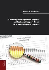 Company Management Reports as Decision Support Tools in a Multinational Context